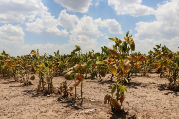 La provincia avanza en la implementación de la Emergencia Agropecuaria