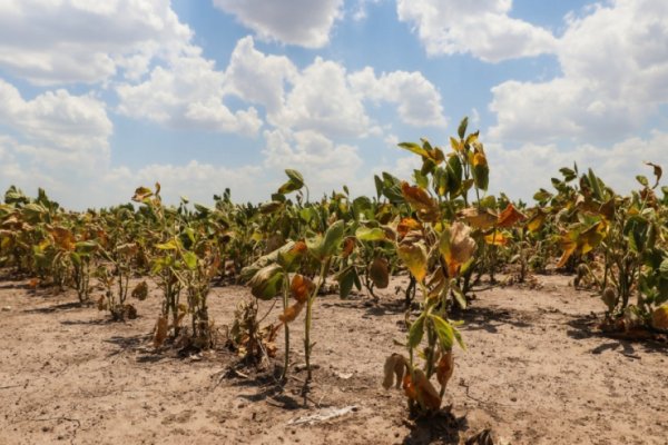 La provincia avanza en la implementación de la Emergencia Agropecuaria