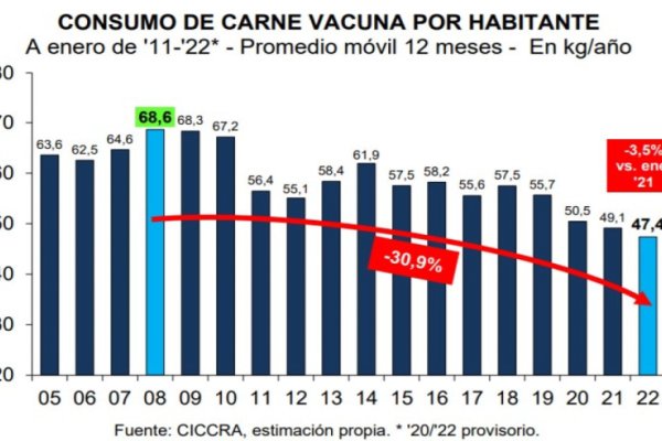 La actividad frigorífica ganadera sigue en baja