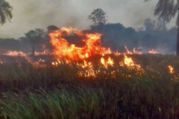 Rechazan las declaraciones del Ministro de Ambiente