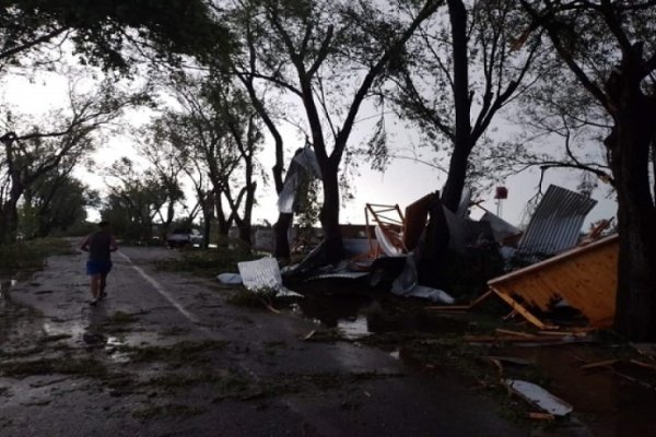 Un millón por productor: cómo es la ayuda del Estado por la destrucción de 40 mil hectáreas en Santa Fe