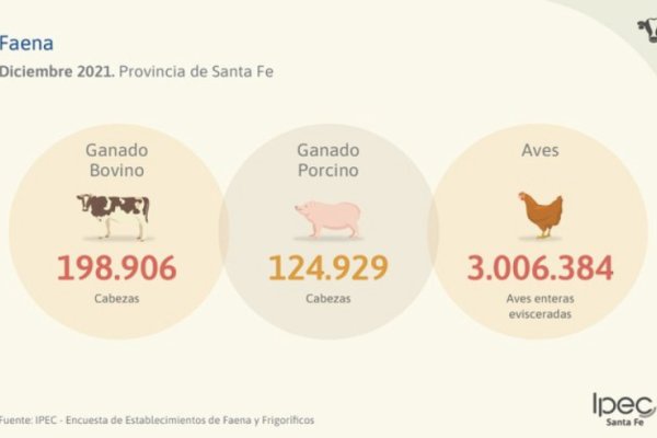 La industria cárnica santafesina está su nivel más bajo desde 2018