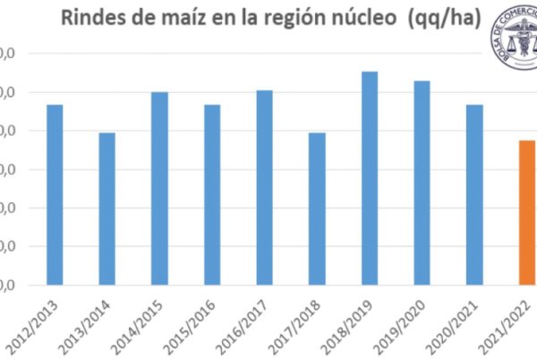 Estiman la campaña más chica de la última década