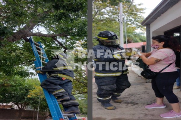 Gracias al trabajo de los bomberos, una mascota pudo volver con su familia