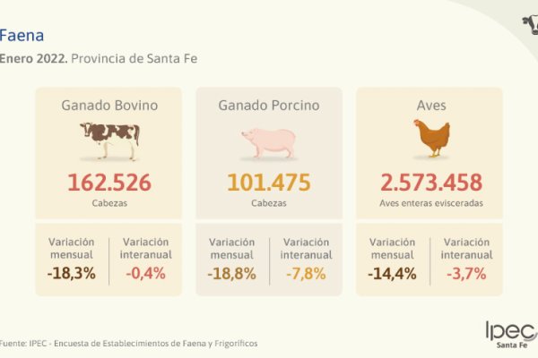 Enero negativo para la Faena en la provincia