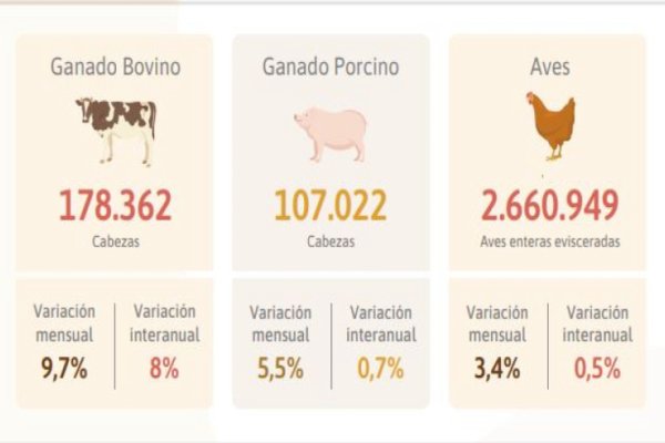 Se registró una variación positiva de la Faena en febrero