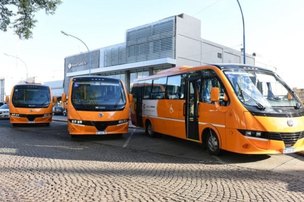 ¿Cómo se prestarán los servicios municipales con motivo del feriado?