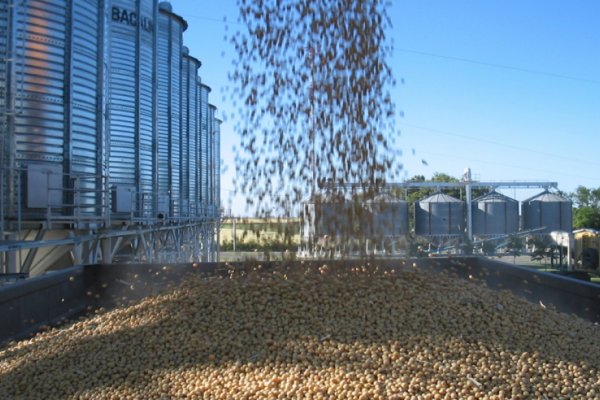 Comienzan las capacitaciones para el control de plagas e inocuidad de granos almacenados