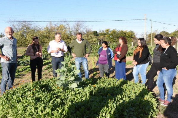 Producción sustentable: 10 mujeres llevan adelante una huerta ecológica