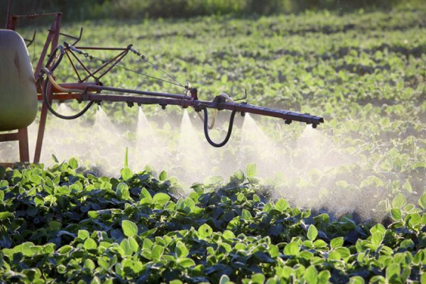 Organizaciones rechazan la ordenanza que regula la aplicación de agroquímicos