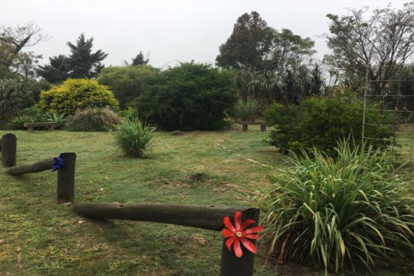 Para celebrar el Día Mundial de la Biodiversidad, invitan a una jornada en el Arboretum