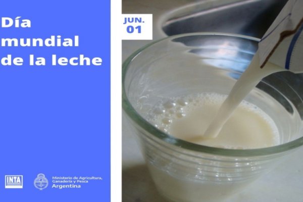 Día Mundial de la Leche