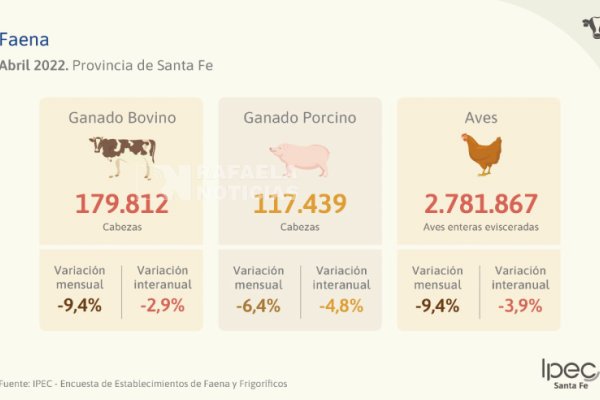 Cayó la faena ganadera, porcina y aviar