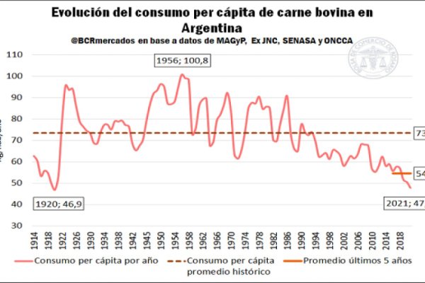 El consumo de carne es el más bajo en 101 años