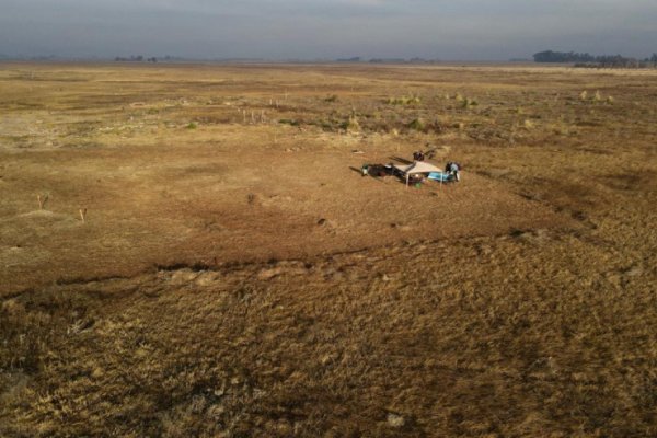 La provincia lleva adelante una campaña arqueológica en Melincué