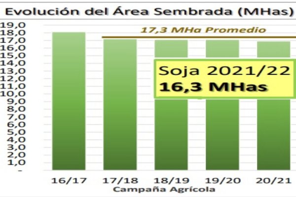 La soja aportará casi 24 mil millones de dólares