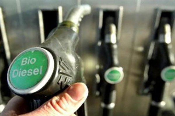 Crearán mesa de trabajo para evaluar la continuidad del corte de 12,5% del Biodiesel