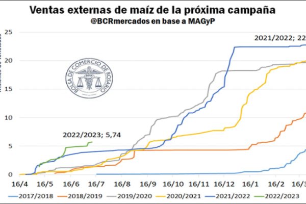 El maíz registra ventas récord