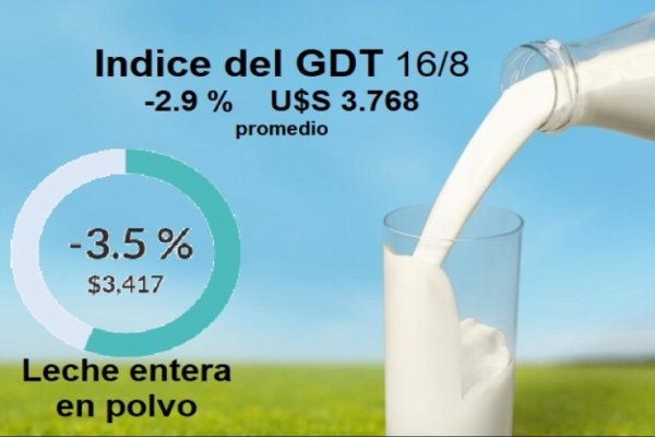 Los precios de los lácteos se siguen hundiendo