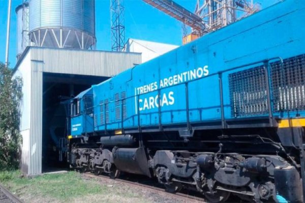 El transporte ferroviario del agro se sostiene