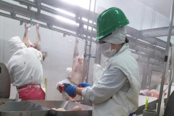 Carne: piden revisar la implementación del troceo