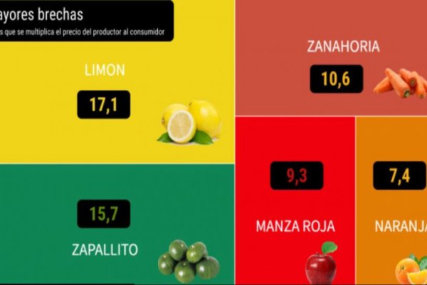 En agosto, el consumidor pagó 6 veces más de lo que cobró el productor de frutas y verduras