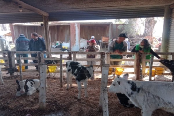 Senasa acompaña a tambos familiares de Cañada Rosquín