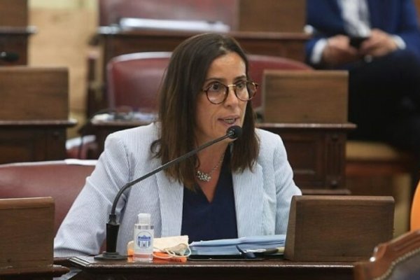 Caso Saín: La legislatura suma un proyecto para pedir sumario por presuntas violaciones de DDHH