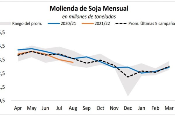 La Bolsa de Cereales actualizó el balance de la campaña