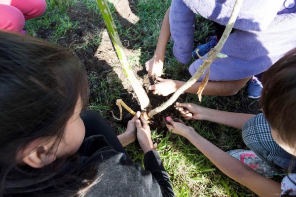 Proponen un nuevo requisito para graduarse en Santa Fe