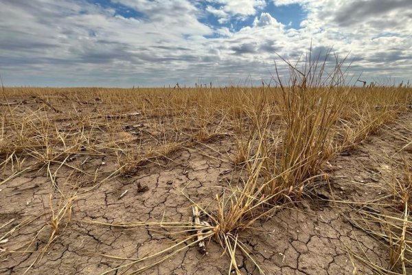 La provincia decretó la emergencia agropecuaria en todo el territorio provincial