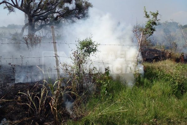 Quiso espantar abejas, pero casi quema todo un campo