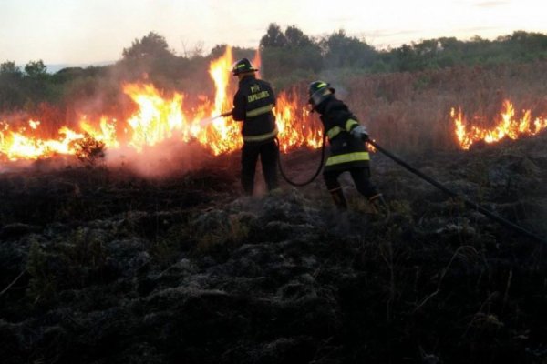 Ardua labor de Bomberos Zapadores de Rafaela: hubo casi 500 incendios durante el 2022