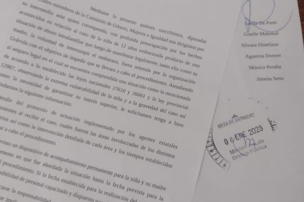 Caso Grávida: Diputadas provinciales reclaman que se informe cómo actuó el Estado