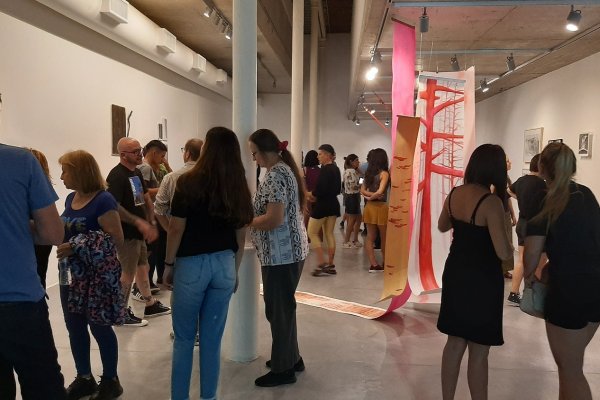 Diez artistas reunidas en la primera muestra del año del Museo Municipal de Arte