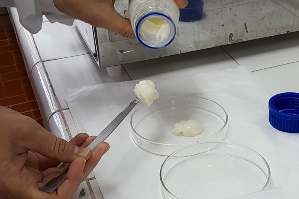 Geles de leche, los nuevos productos lácteos sobre los que avanza el INTA