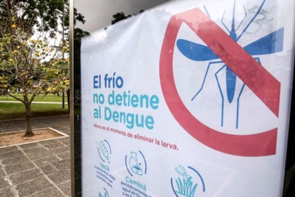 Dengue: ¿cómo afecta el frío al mosquito?