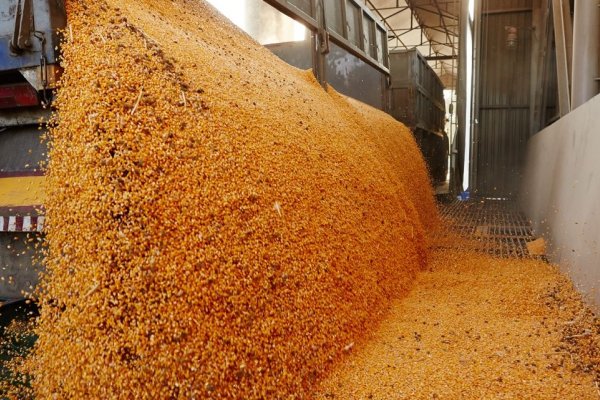 Dólar Agro: exportadores liquidaron US$1.255 millones