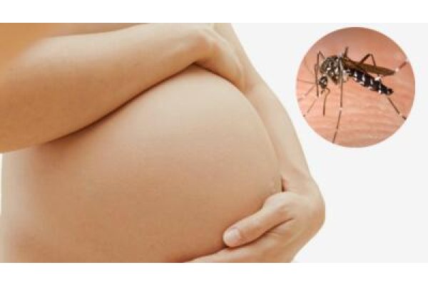 En Rafaela hay una bebita internada por dengue: ¿de qué se trata el contagio vertical?