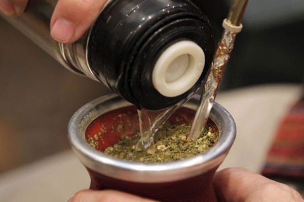 Yerba Mate: En los primeros tres meses del año se exportaron 8,4 millones de kilos