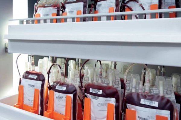 Donantes voluntarios de Sangre: cuántos hay en Rafaela y cuál sería el número óptimo