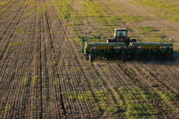 La falta de humedad complica el avance de la siembra de trigo: cómo está cada región del país