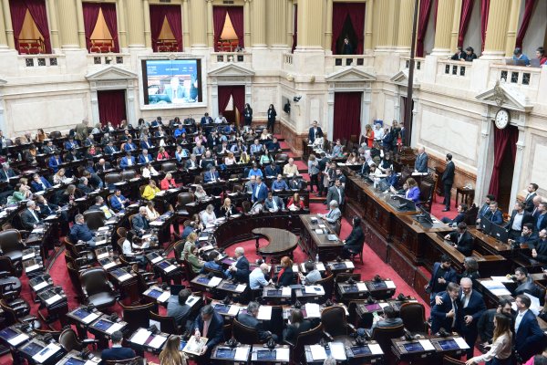 Diputados: fracasó la derogación de la Ley de Alquileres