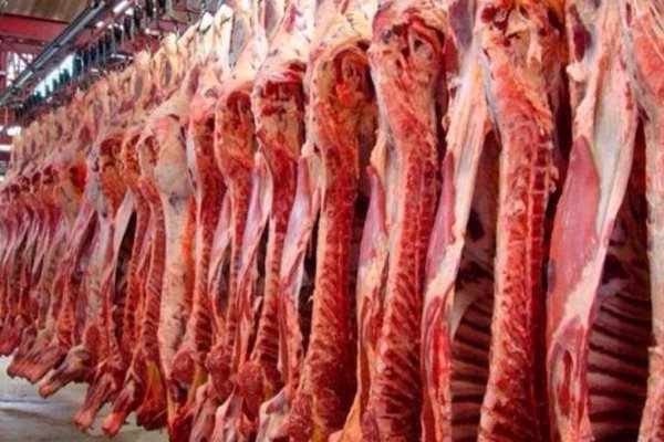 Impulsadas por China, crecieron las exportaciones de carne vacuna en volumen en julio