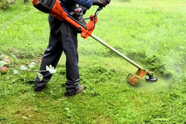 Atención vecinos del sector 4 de la ciudad: deben sacar los residuos de patio