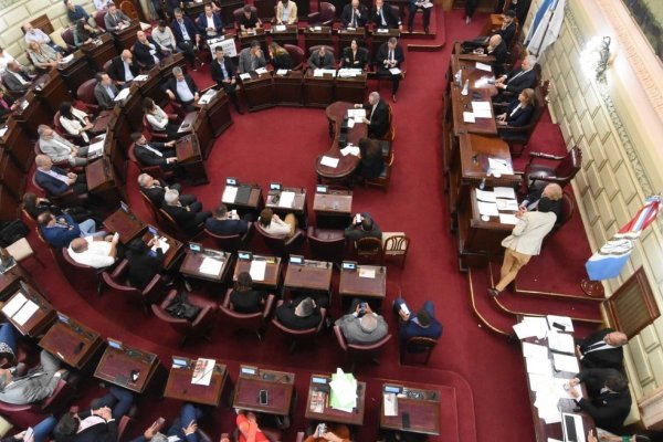 Tenso cruce en la Cámara de Diputados: Palo Oliver y Giustiniani debaten la representación de miles de santafesinos