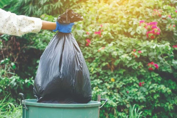Servicio municipal intensifica recolección de residuos de patios para mantener la ciudad limpia