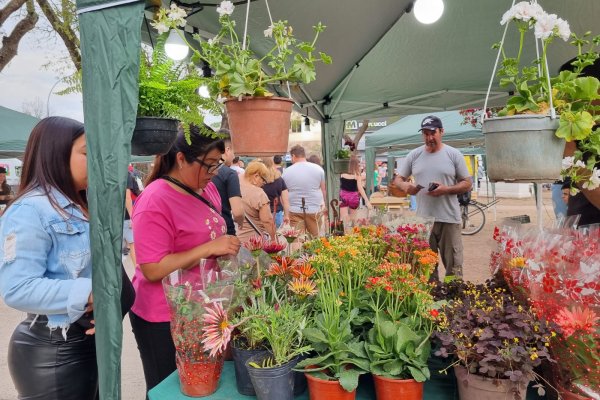 Gran participación ciudadana en la nueva edición de Feria Desde El Origen