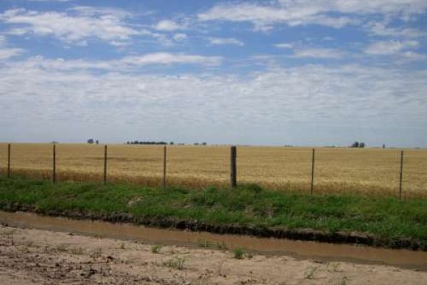 Los delincuentes tomaron la zona rural