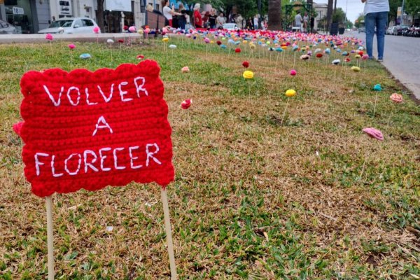 Luego del robo, volvieron a "florecer" las rosas de lana en el centro